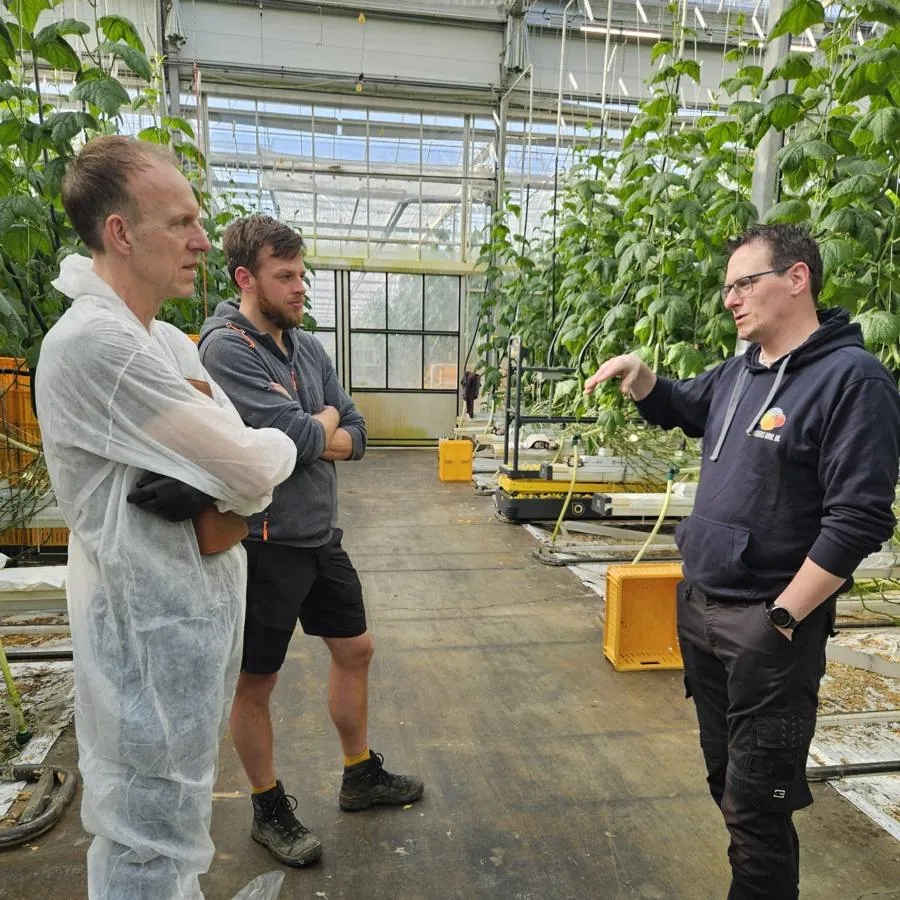 Teler en adviseurs in gesprek in de kas